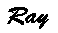 Ray's Signature
